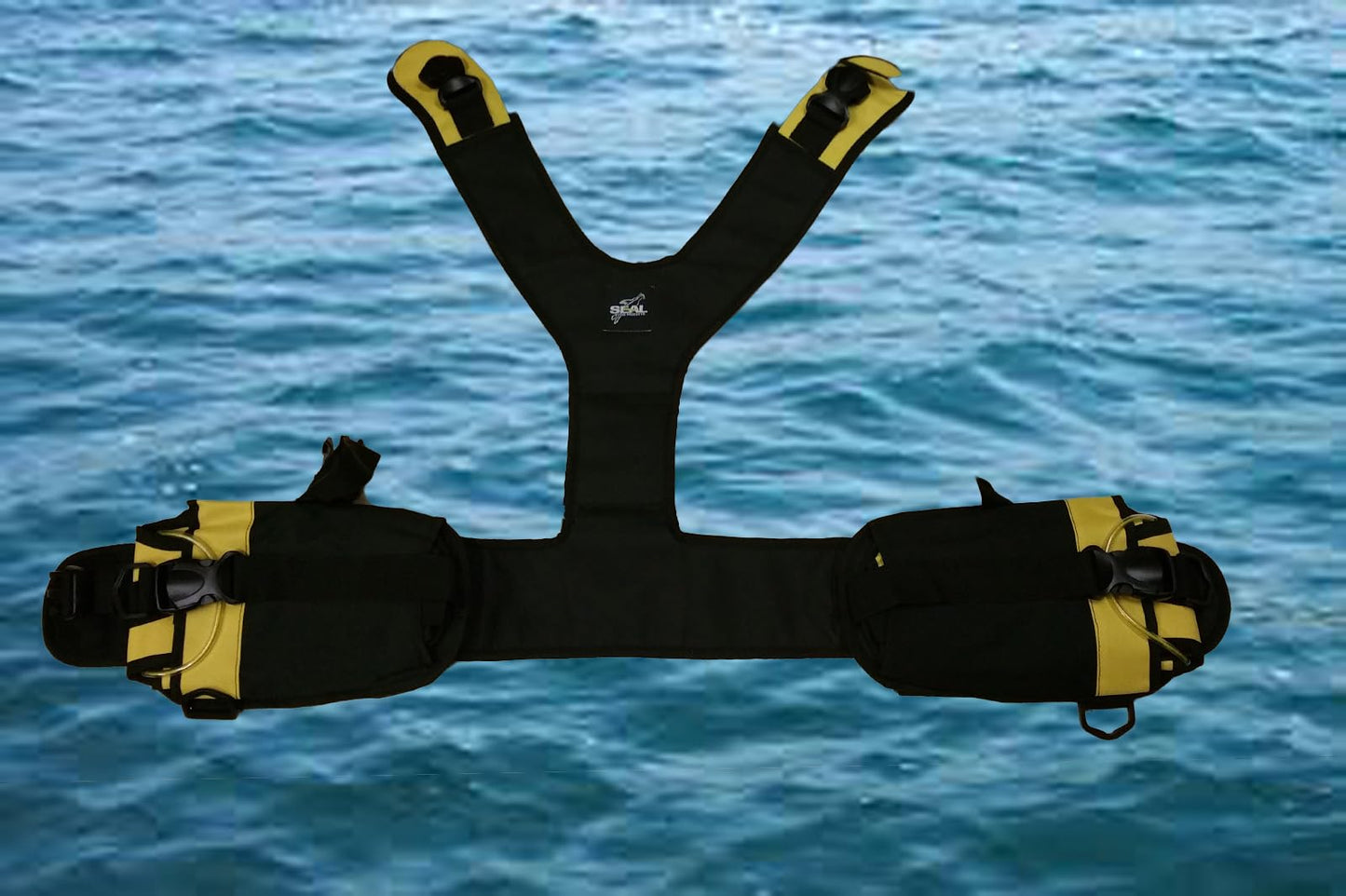 Scuba Diving Weight Carry System