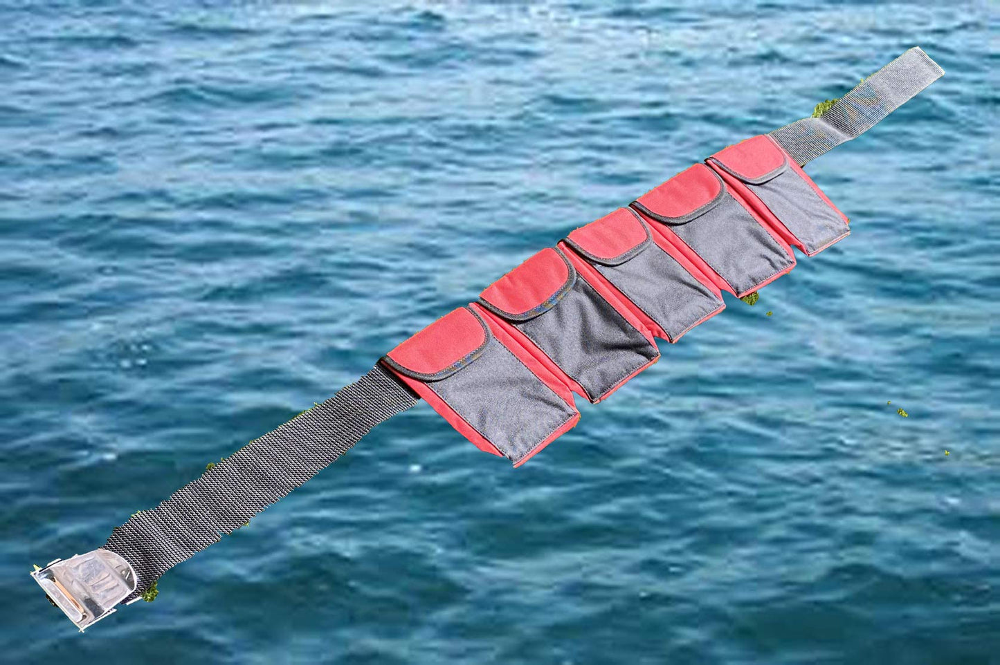 Diving Weight Belt,50mm Polypropylene Webbing, Stainless Steel Cam Buckle, Padded Protection, Available in Red, Blue, Yellow, Black from Akm Sports (red, Small)